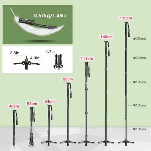 41DJqdBlGEL._SL500_